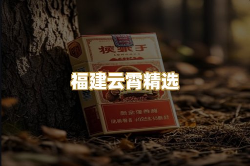 福建云霄精选